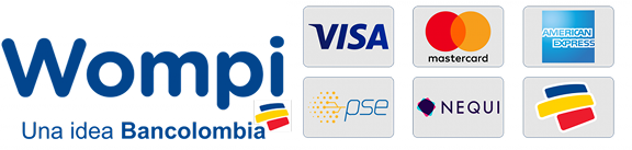 pagos online